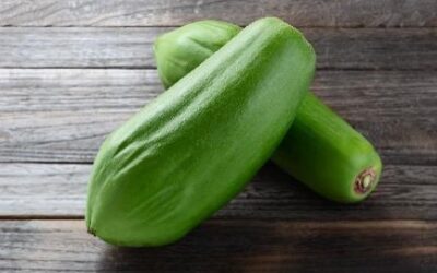 Kiseki 里的成份-青木瓜的萃取液