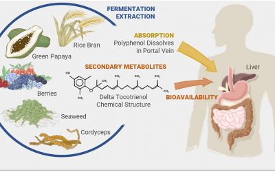Kiseki 中的次生代谢产物