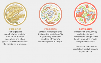 什么是益生菌精华?