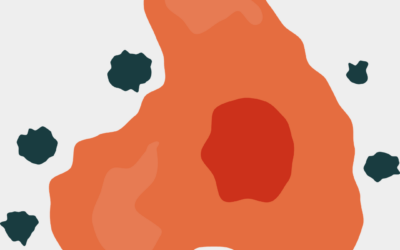 Kiseki 中的抗氧化物会促进肿瘤生长吗？科学解读